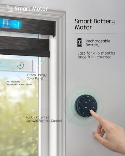 Motorized Zebra Blinds with Alexa Control