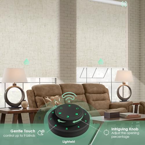 Smart Motorized Blackout Blinds with Remote Control