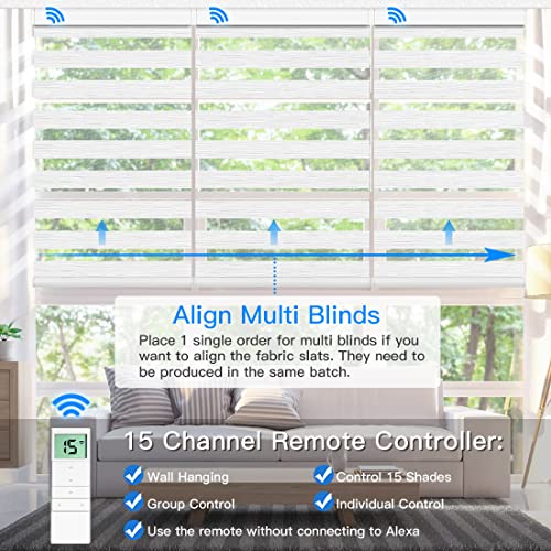 Motorized Zebra Shades with Remote Control, Smart Horizontal Blinds for Windows