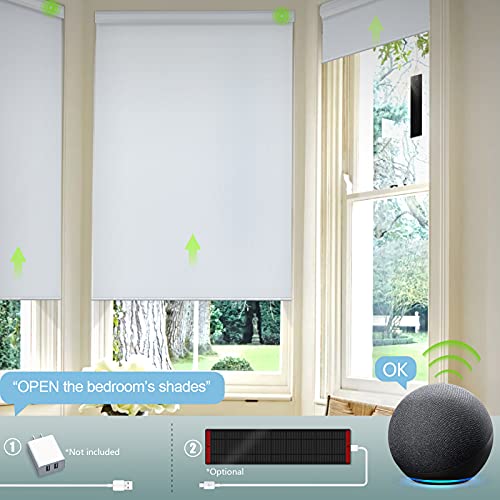 Smart Motorized Blackout Blinds with Remote Control